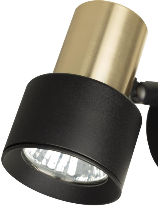 CL505611 Citilux