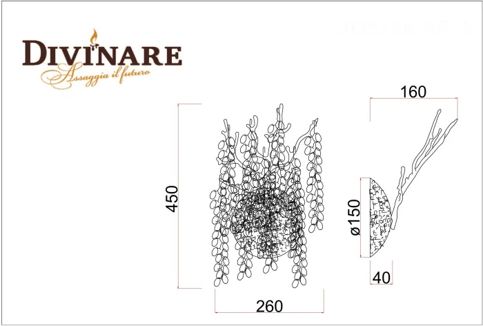 3135/26 AP-2 Divinare