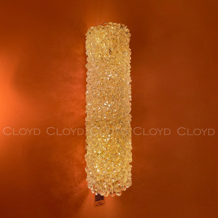 20372 Cloyd