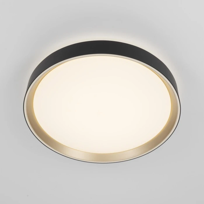 CL751351G Citilux