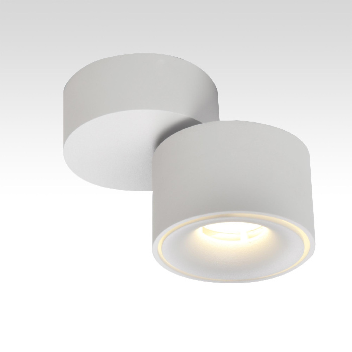 CL558010N Citilux