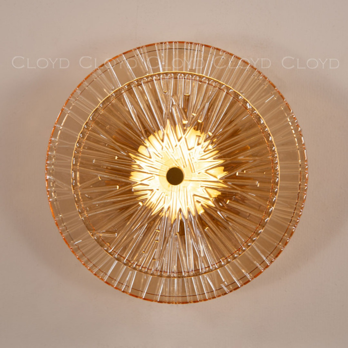 20307 Cloyd