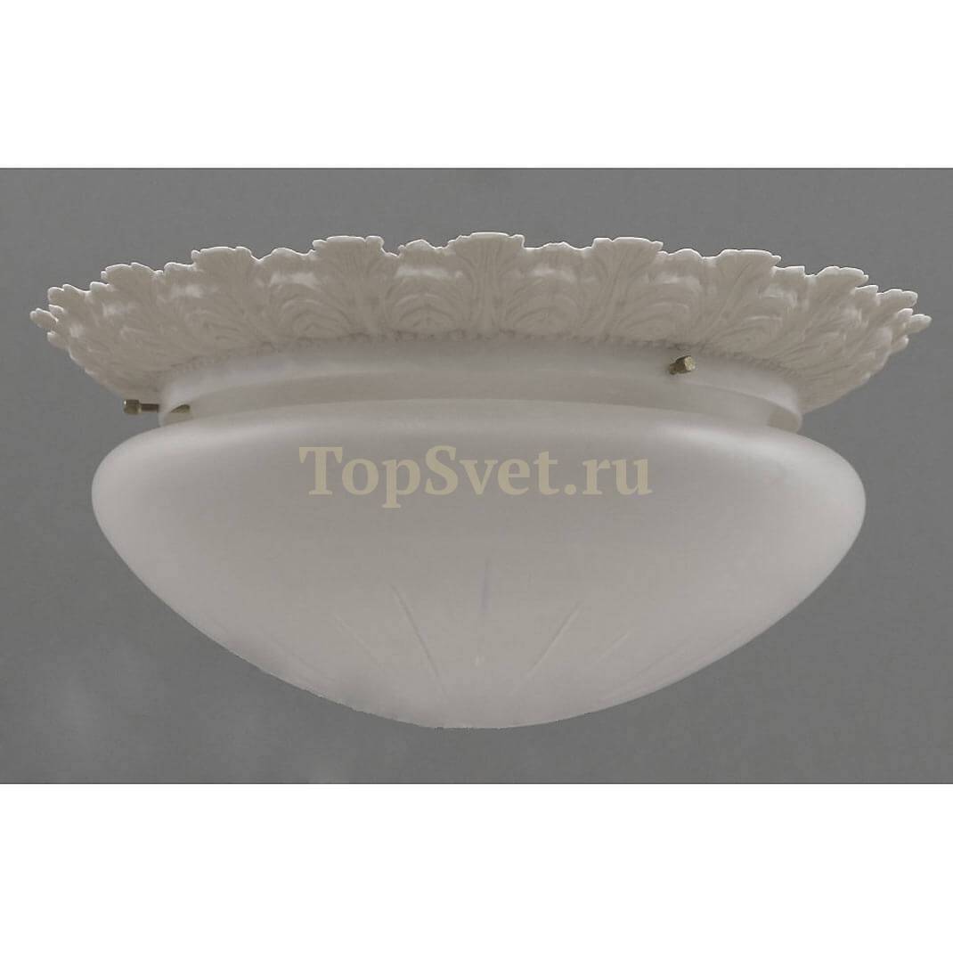 0590/2 WHITE Nervilamp