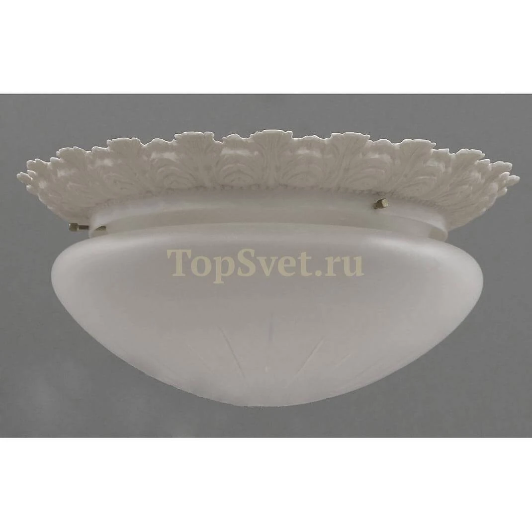 0590/2 WHITE Nervilamp