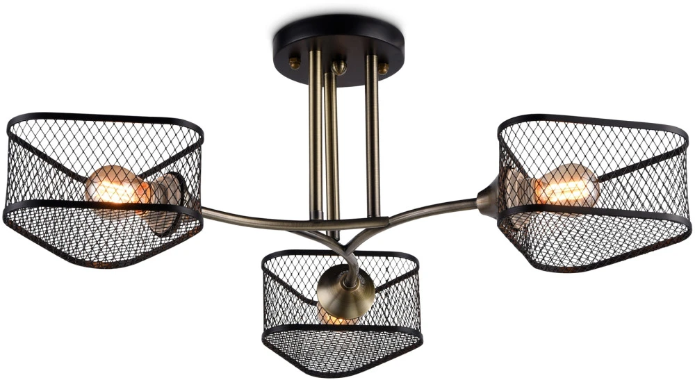 TR80171 Ambrella