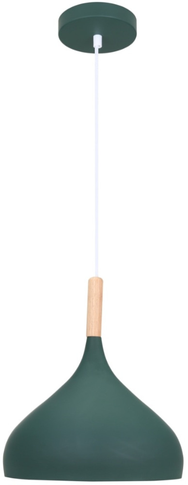 V11446-1P Moderli