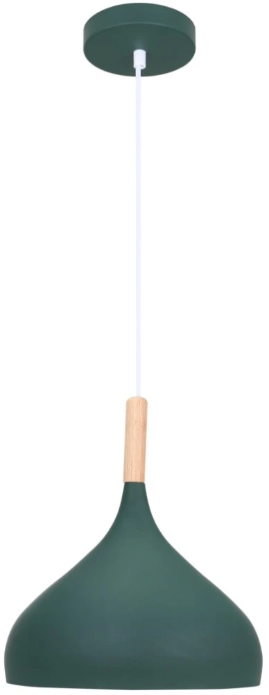 V11446-1P Moderli