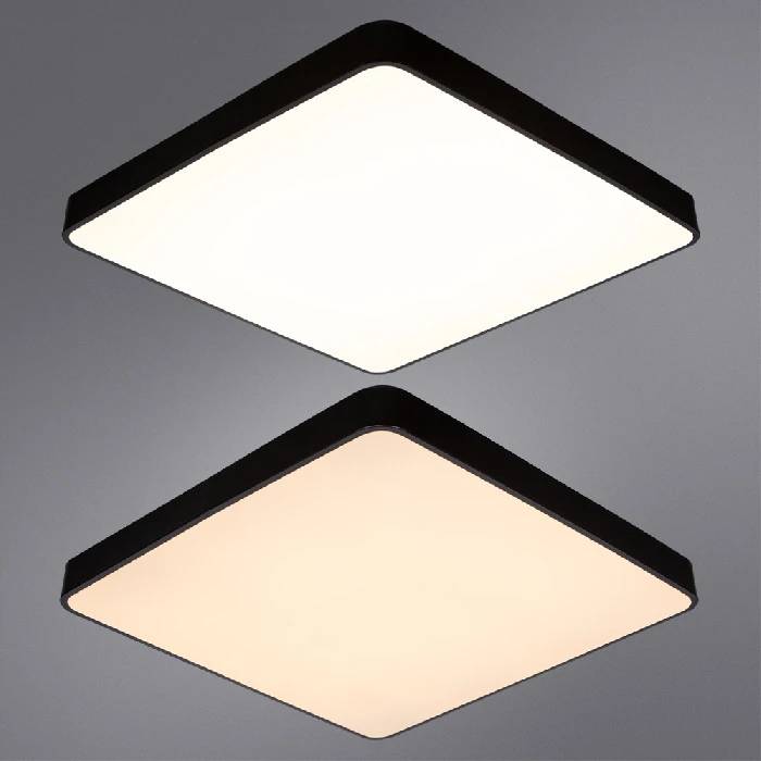 A2669PL-1BK Arte Lamp