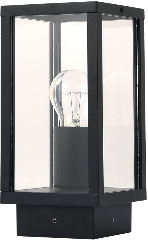 A1631FN-1BK Arte Lamp