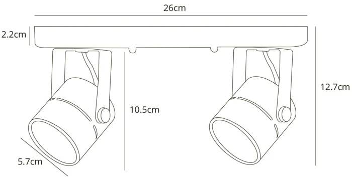 A1311PL-2BK Arte Lamp
