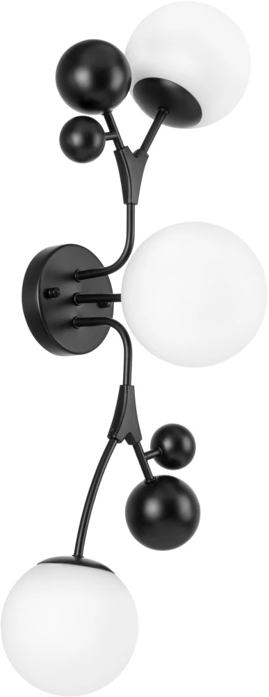 815537 Lightstar