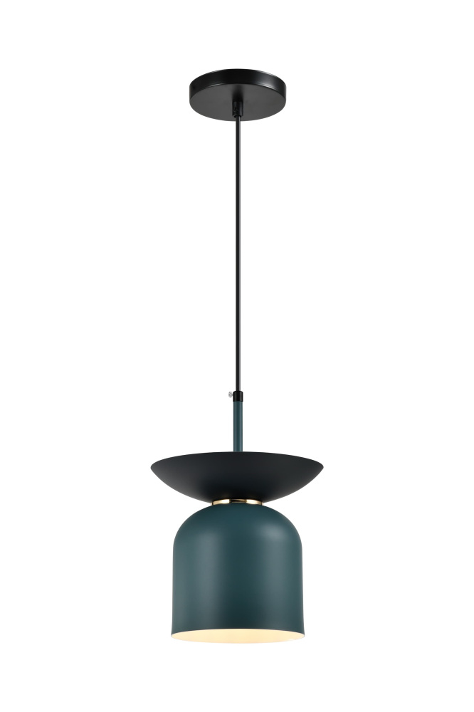 V11553-1P Moderli
