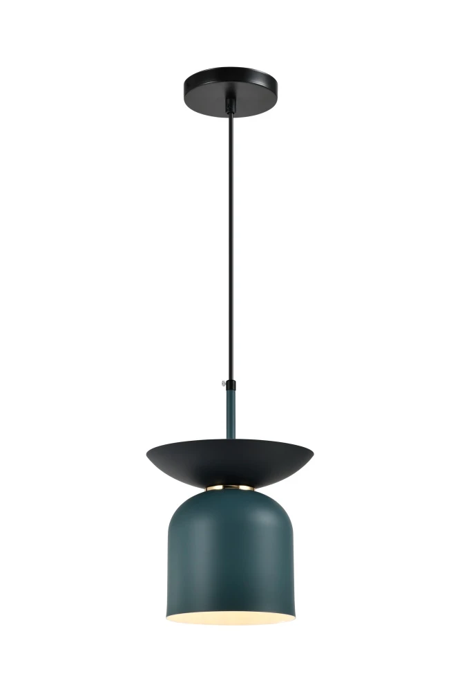 V11553-1P Moderli