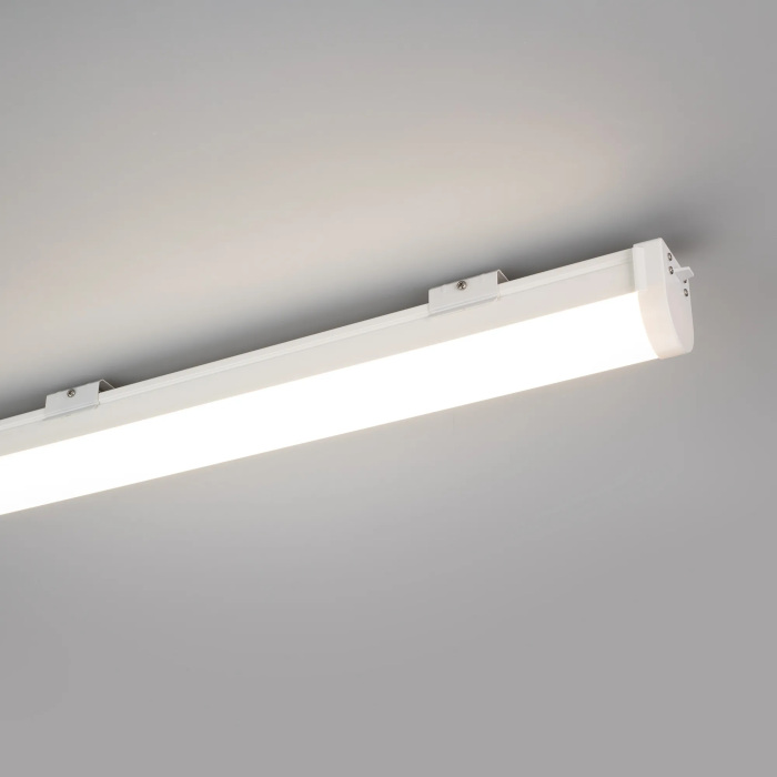 055004 Arlight