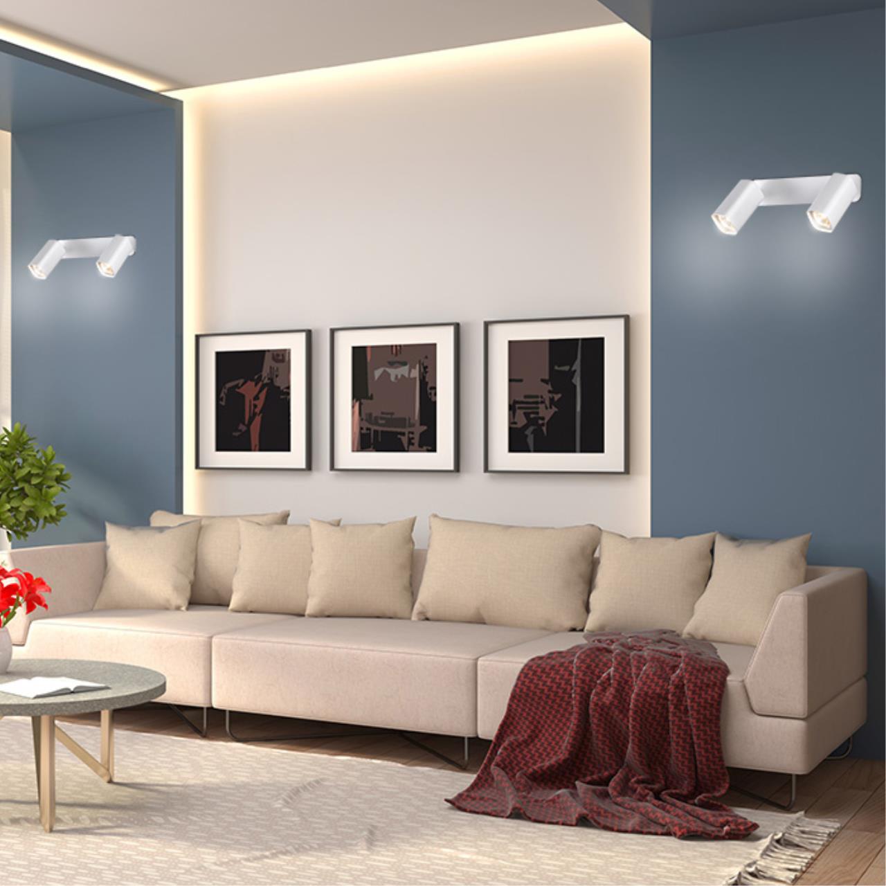 370554 Novotech