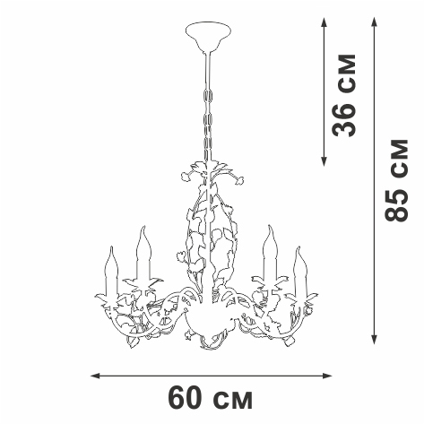 V1796-0/5 Vitaluce