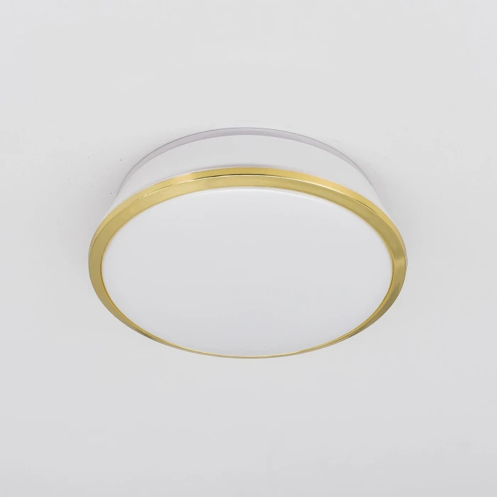 CLD6008N Citilux