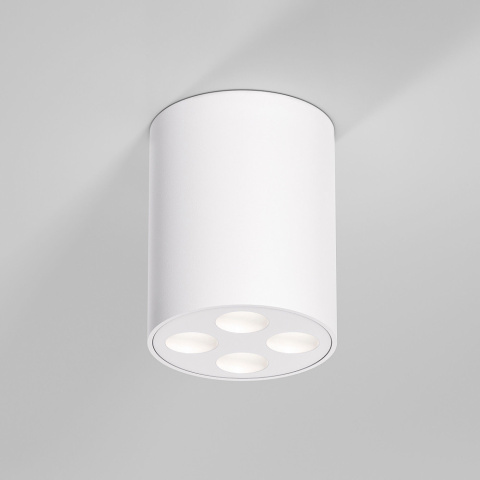 25111/LED Elektrostandard
