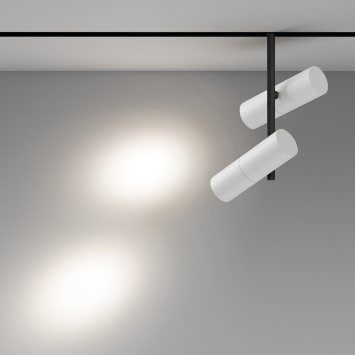 TR005-2-2X12W4K-BW Maytoni