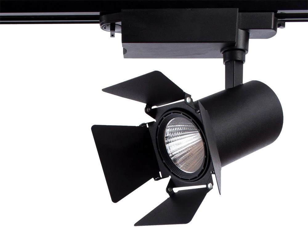 A6720PL-1BK Arte Lamp