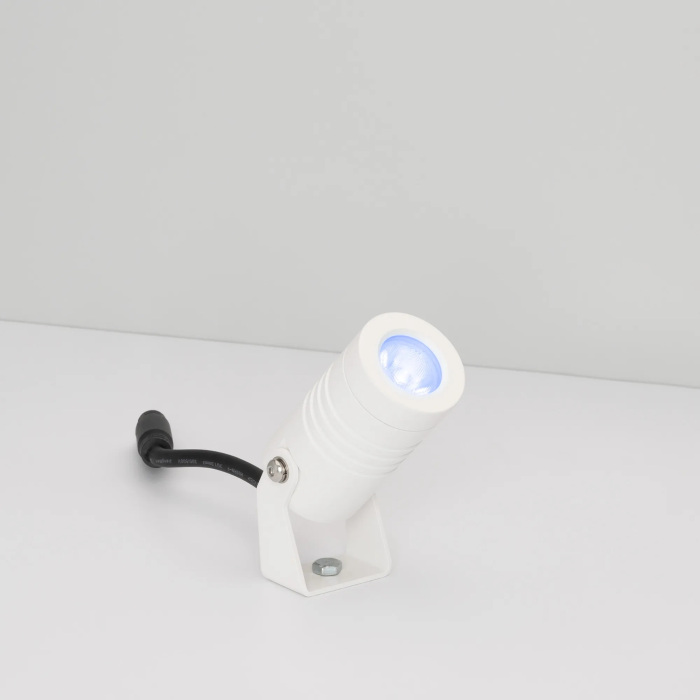 053629 Arlight