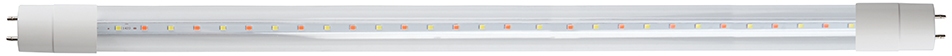 38216 Feron
