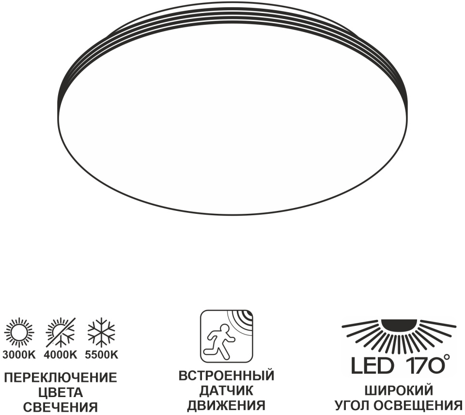 CL71424SV Citilux