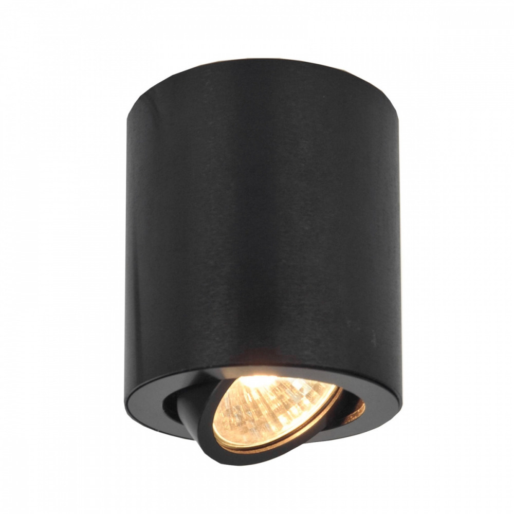 CL538113 Citilux