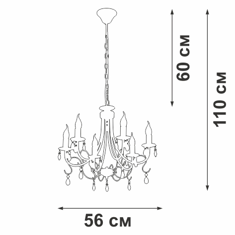V1857-0/6 Vitaluce