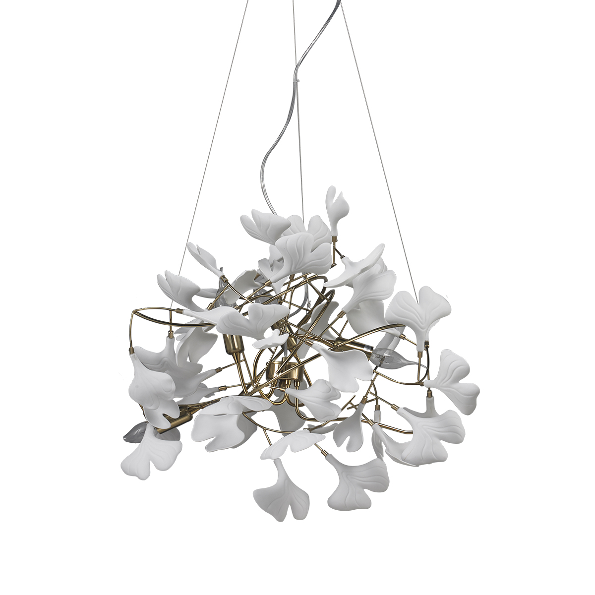 10881P/L600 gold/white Delight Collection