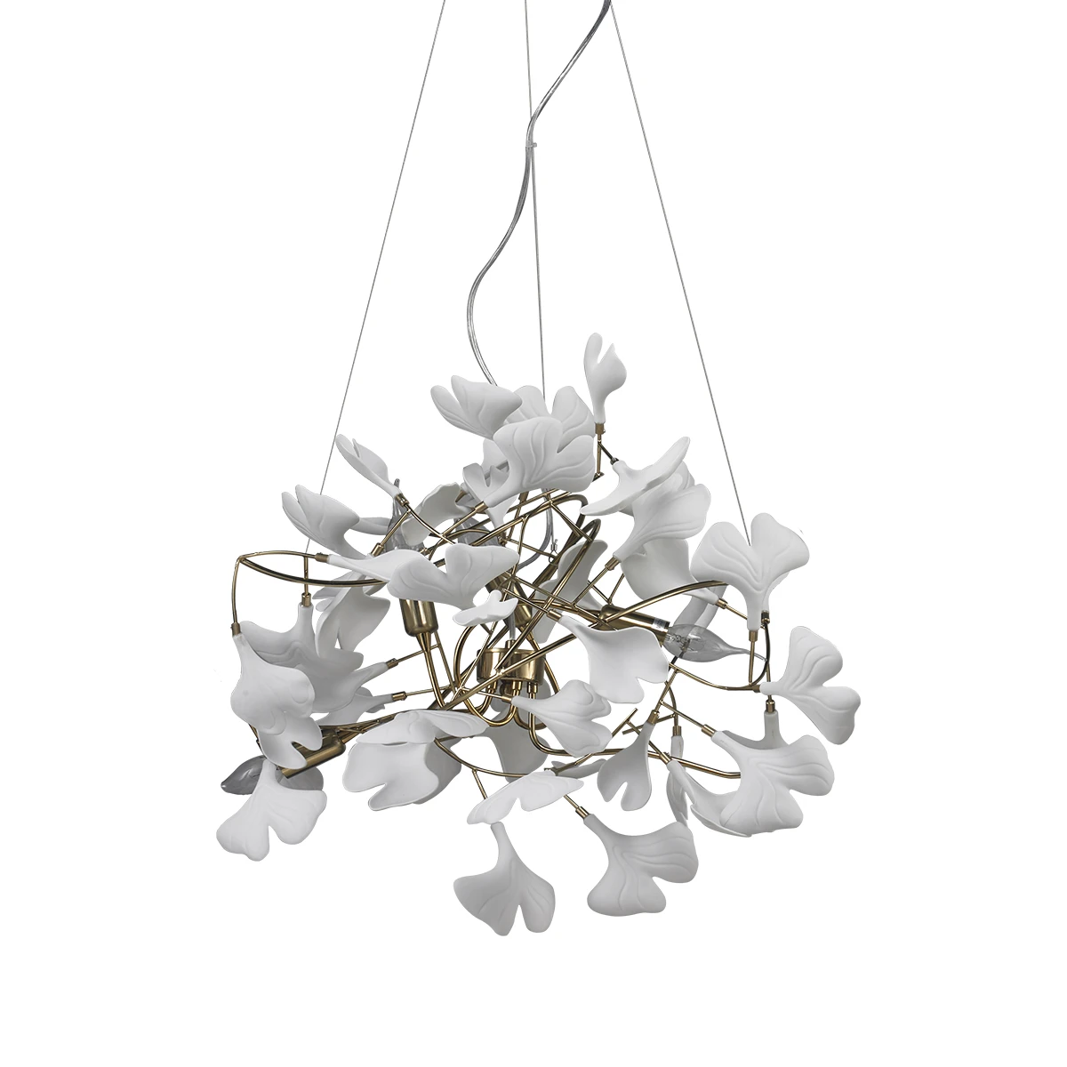 10881P/L600 gold/white Delight Collection