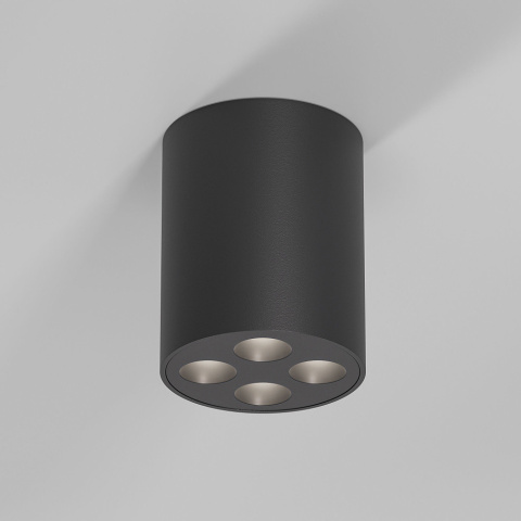25111/LED Elektrostandard