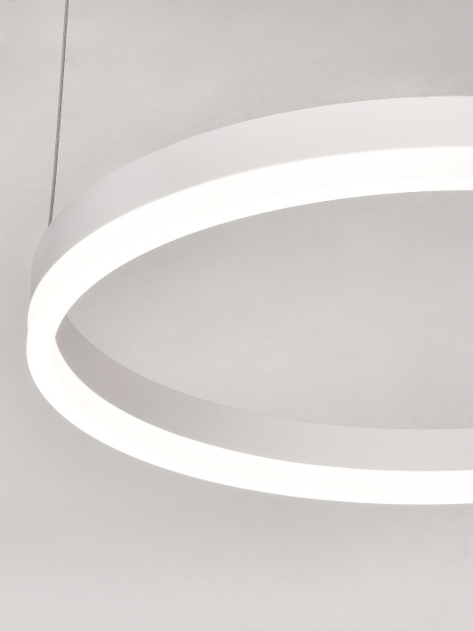 LED LAMPS 81477