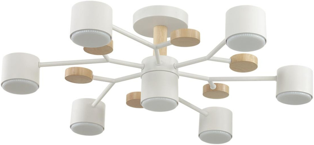 8195/7C Lumion