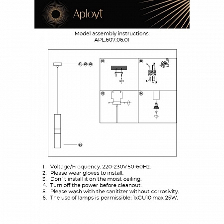 APL.607.06.01