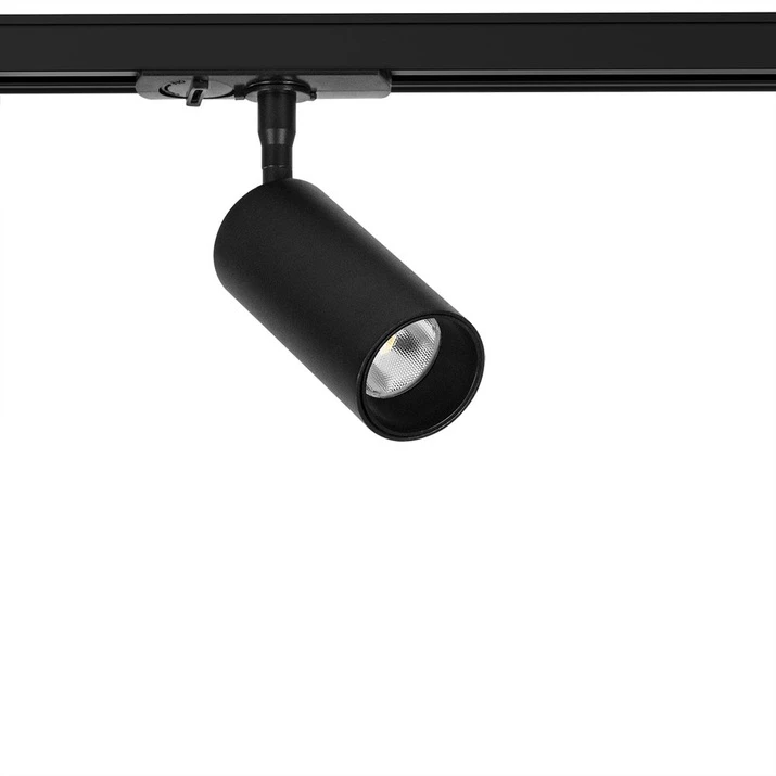 A1345PL-1BK Arte Lamp