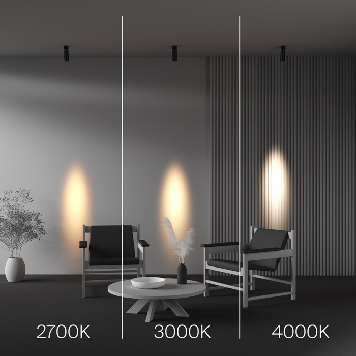 C055CL-L12W4K-SS-B Maytoni