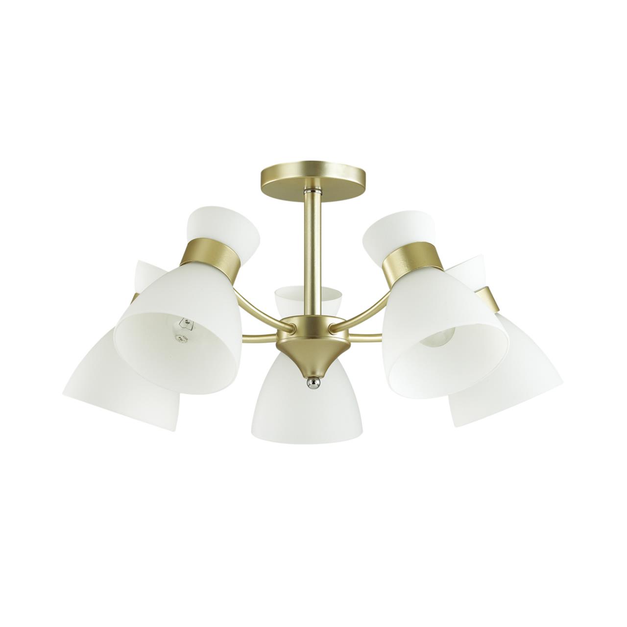 4535/5C Lumion