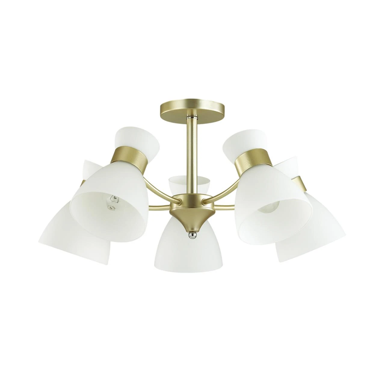 4535/5C Lumion