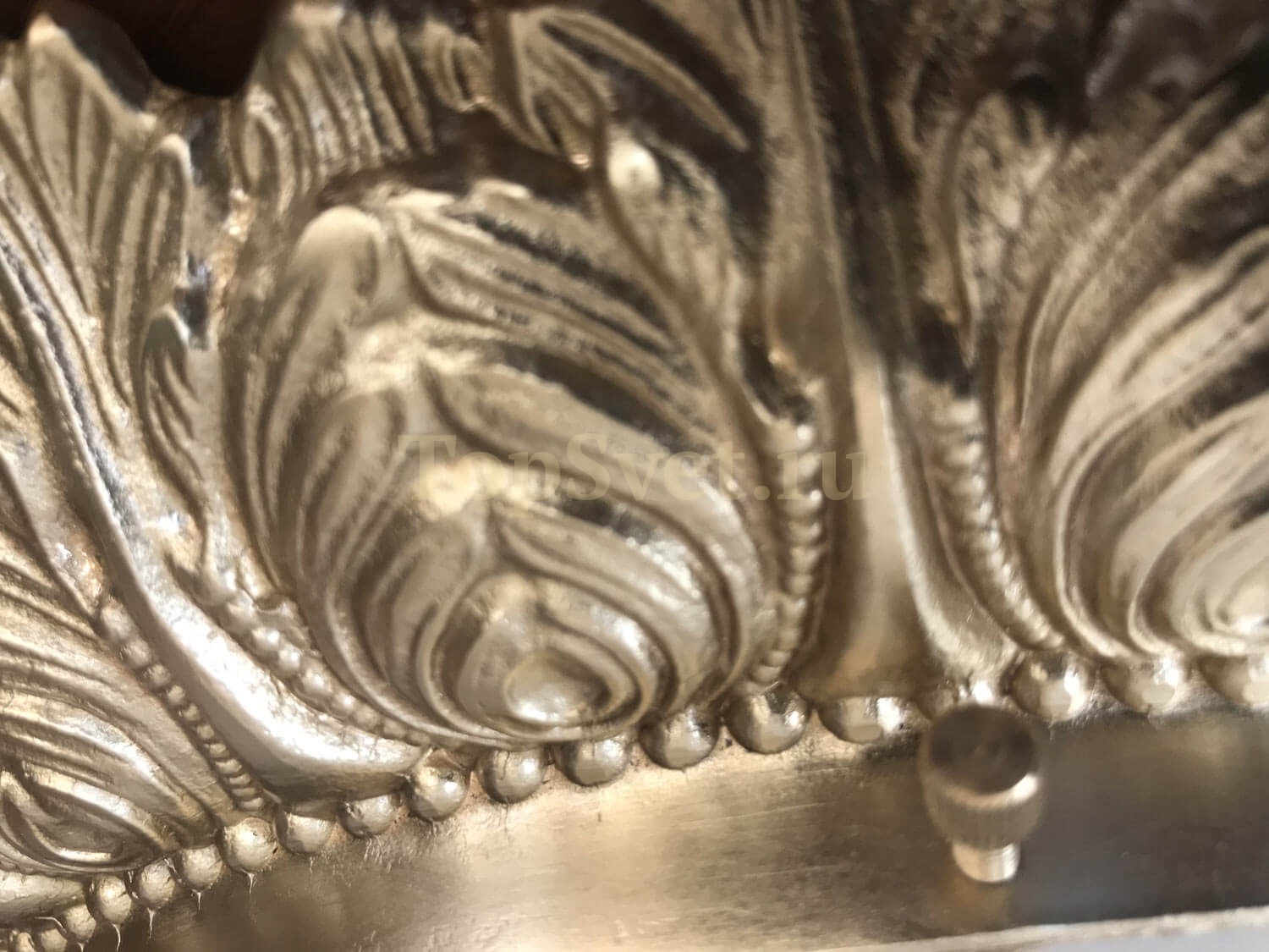 0590/2 CHAMPAGNE Nervilamp
