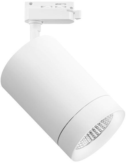 303262 Lightstar