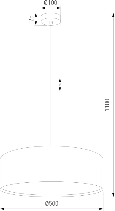 4654 Earth