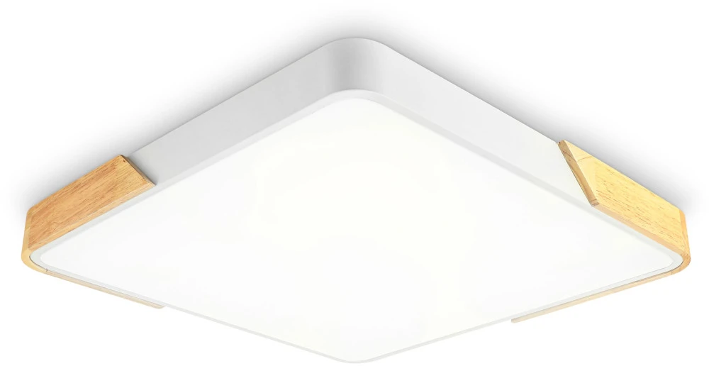 FZ1313 Ambrella