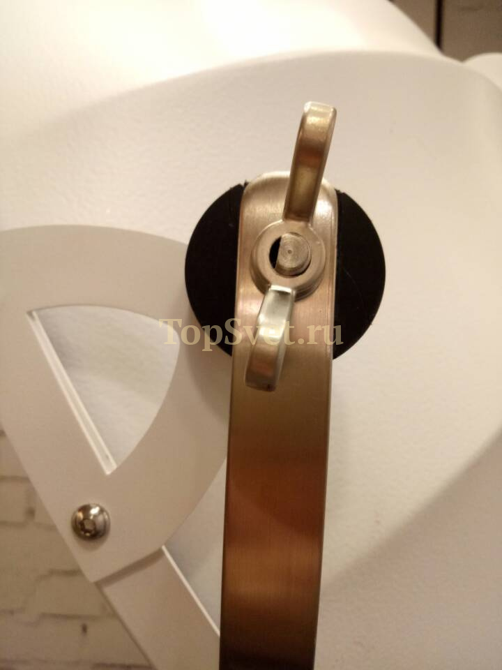 7095F white/gold Delight Collection