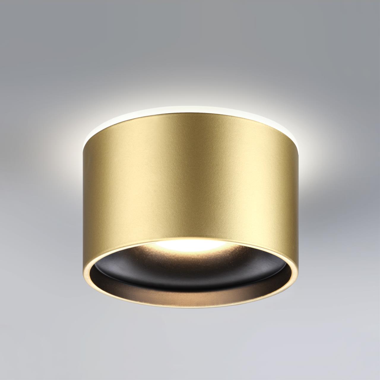 358963 Novotech