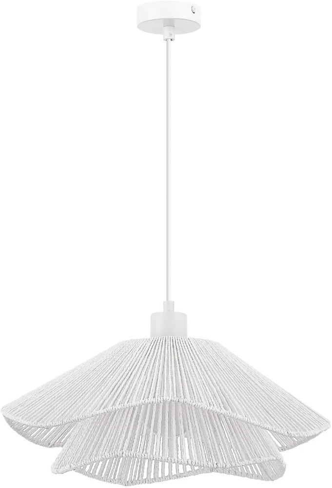SLE6023-503-01 Evoluce