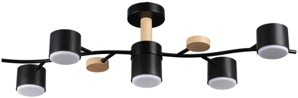 8194/5C Lumion