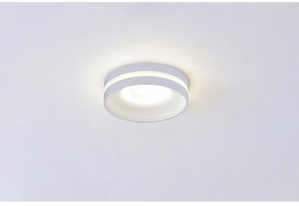 OML-102709-06 Omnilux