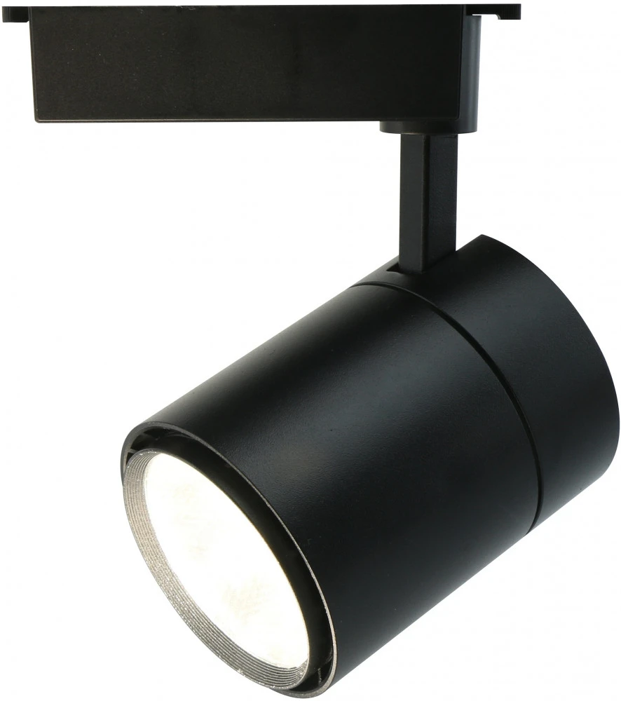 A5750PL-1BK Arte Lamp
