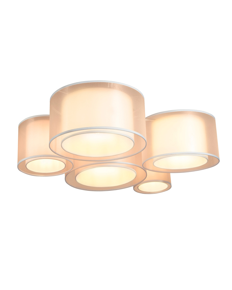 V11398-5C Moderli